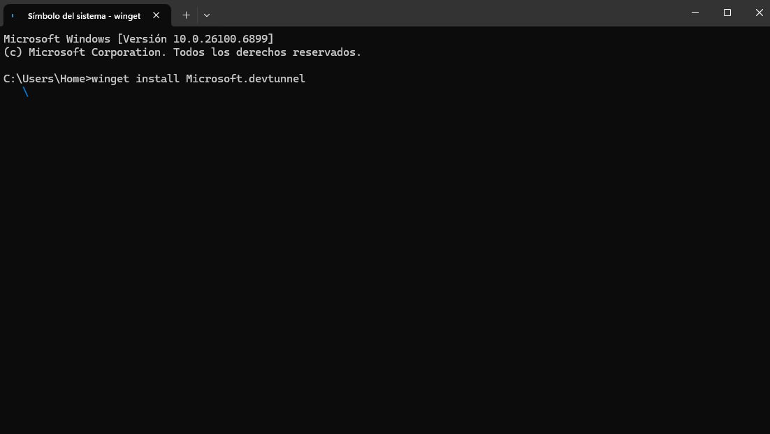 Instalación de Dev Tunnel